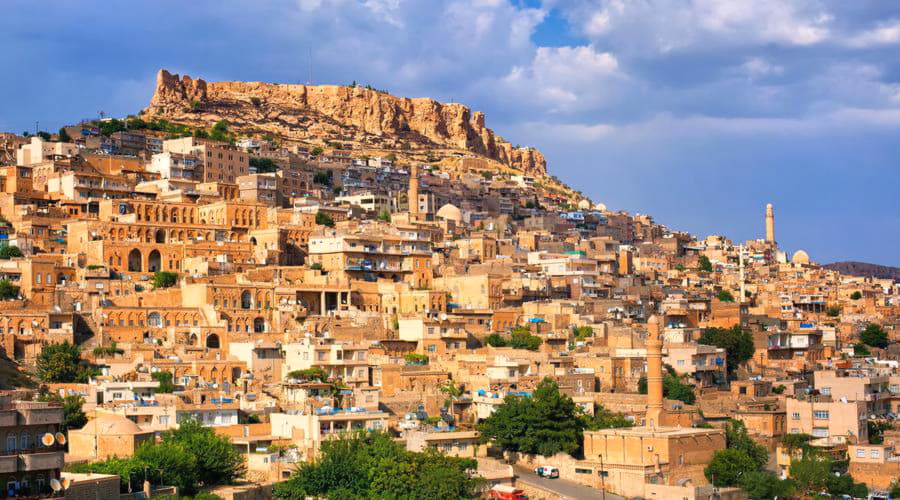 Quali sono le scelte di veicoli più popolari a Mardin?